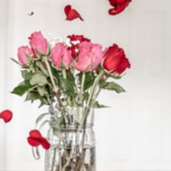 Meet your Posher, Mahika - Picture 1 of 1